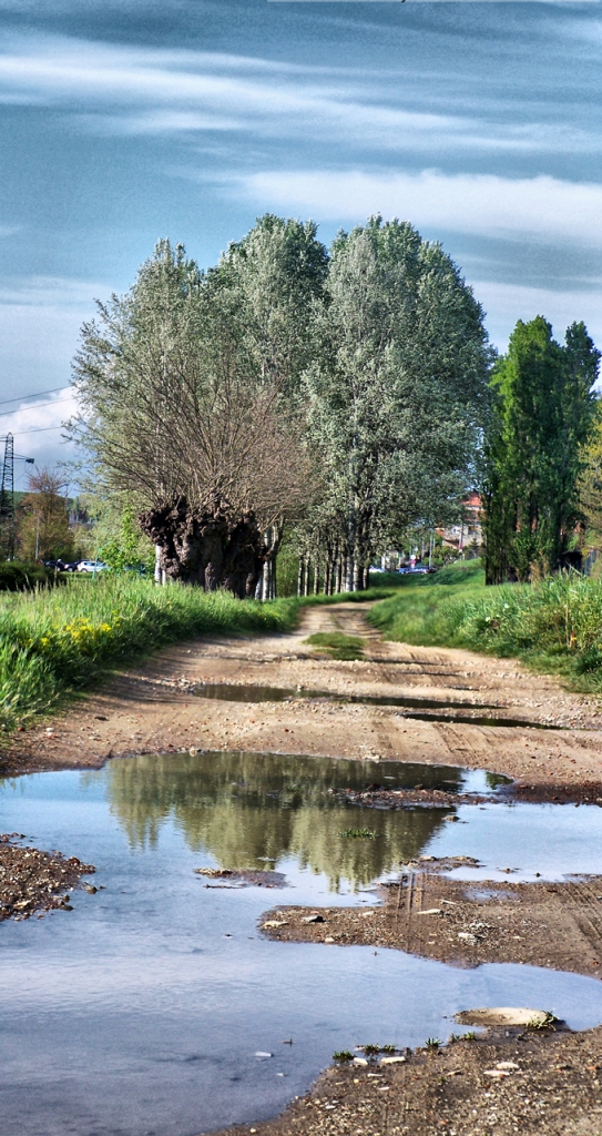 Strada...al vecchio mulino di merlino