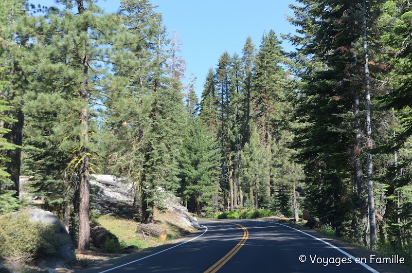 tioga road