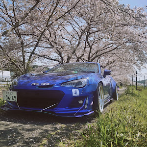 BRZ ZC6