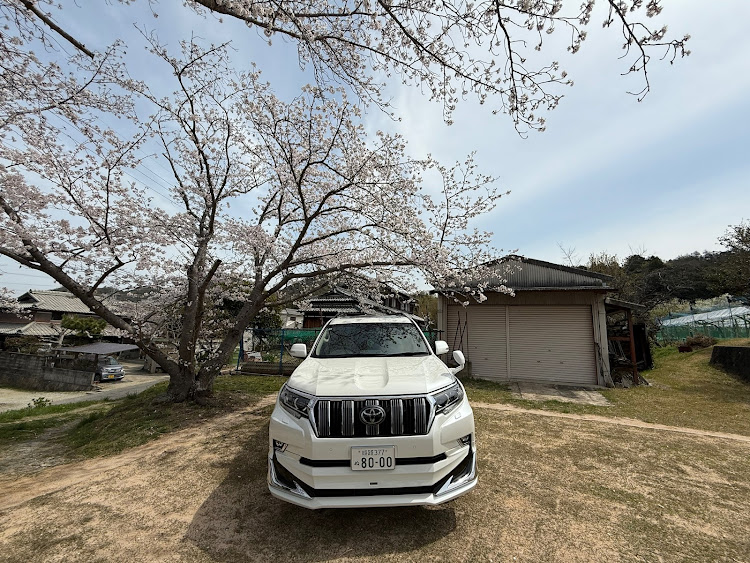 ランドクルーザープラドの桜コラボに関するカスタム事例の投稿画像3枚目