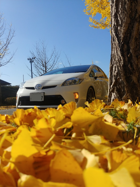 アルファードのJ-AutoShow・黄色い絨毯。季節を感じる・霧が濃いのは怖いですな・紅葉もいいよね・うーん😎に関するカスタム事例の投稿画像1枚目