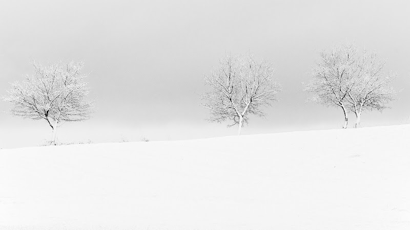 'Abito bianco' di francesca_ciarlantini