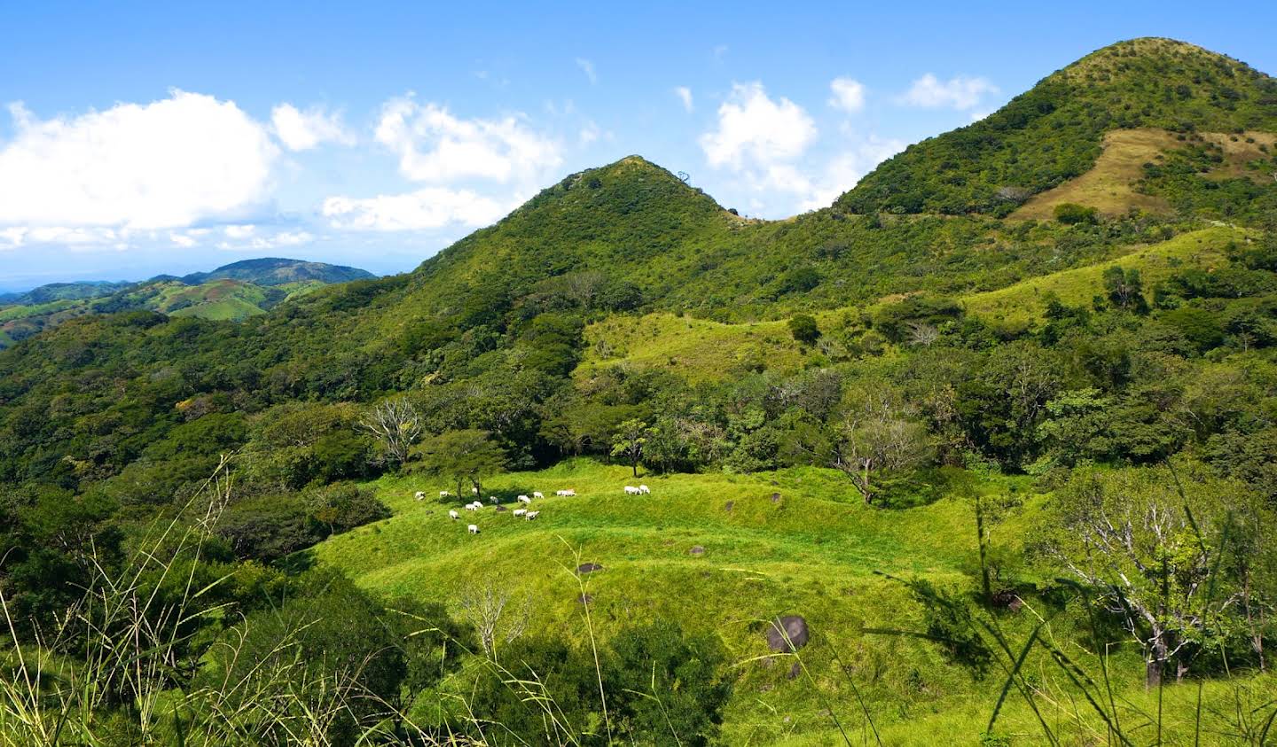 Terrain Puntarenas