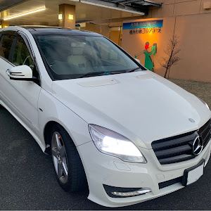 Rクラス W251