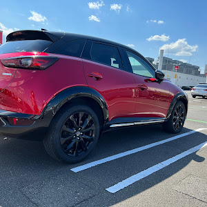 CX-3 DK8FW