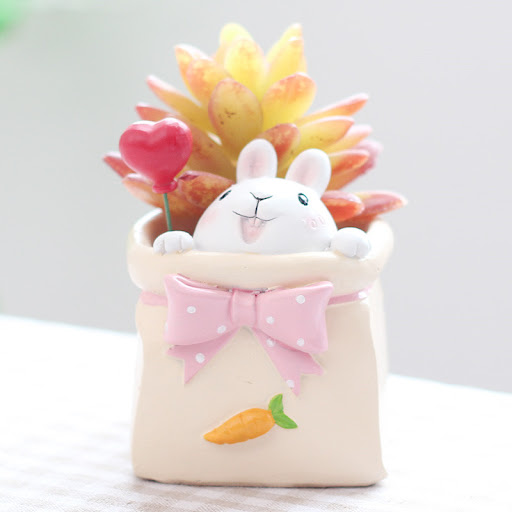 Title 2, Animal cartoon flower pot for plants. Add charm...
