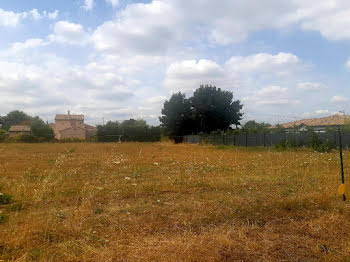 maison neuve à Toulouse (31)