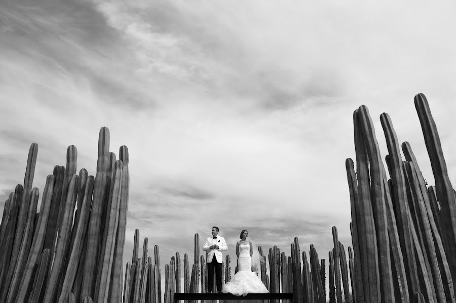 Photographe de mariage Fernando Garcia (fernandogarcia). Photo du 22 mars 2017