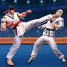 Karate Fighting Kung Fu Game icon