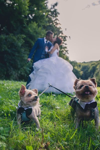 Düğün fotoğrafçısı Péter Kiss (peterartphoto). 21 Ağustos 2019 fotoları