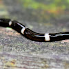 Hammerhead worm