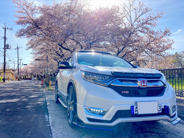 CR-Vの桜とコラボ🌸・サクラと愛車・桜とコラボ・桜・夜桜に関するカスタム事例の投稿画像1枚目