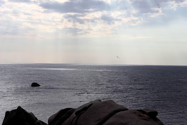 Tra le nuvole e il mare di scerda