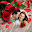 Valentine's Day Photo Frame. Download on Windows