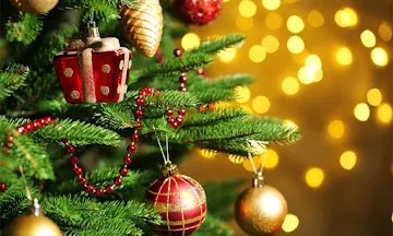 christmas-decor-shopping-in-delhi-ncr