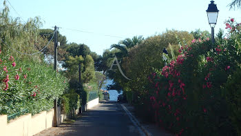 maison à Carqueiranne (83)