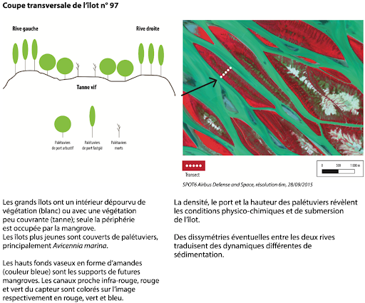 Expo des images pour un dialogue - panneau 6