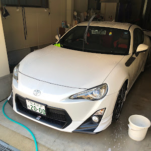 86 ZN6