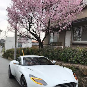 DB11 クーペ