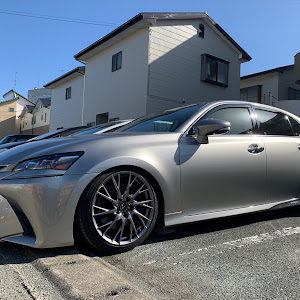 GS GWL10