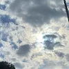 ユーザー