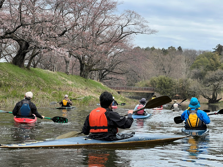 イグニスの桜・キャリア取付に関するカスタム事例の投稿画像1枚目