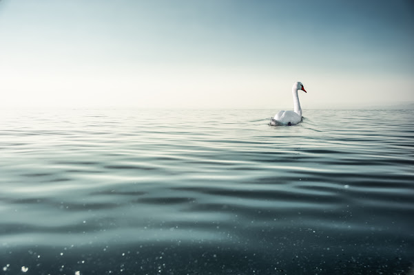 silenziosamente bianco e azzurro di bi