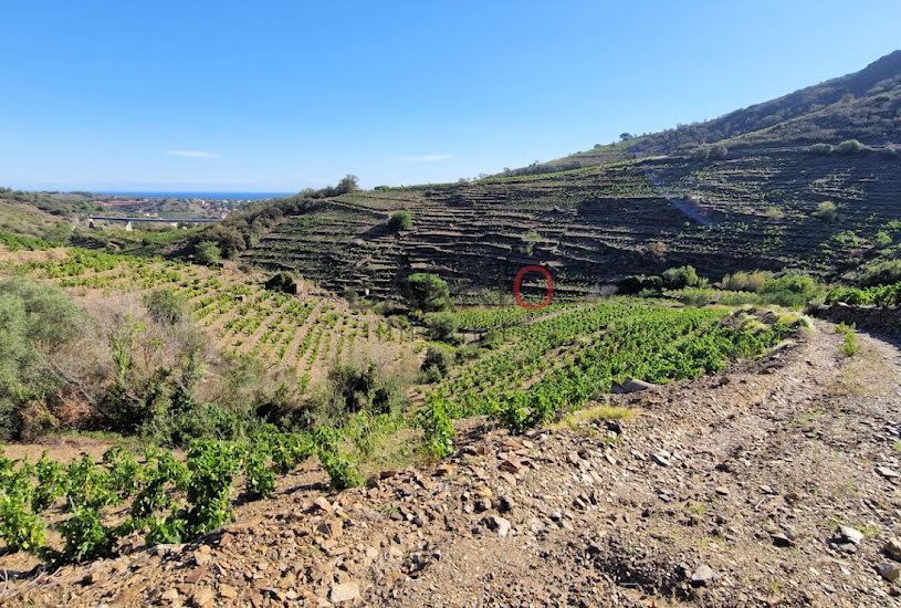  Vente Terrain à bâtir - 41 819m² à Collioure (66190) 