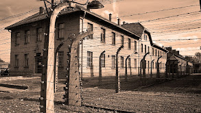 The Holocaust - 1933 - 45 thumbnail