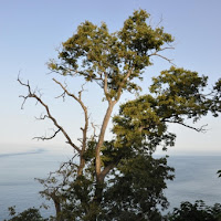 Tra il cielo e il mare!!! di 