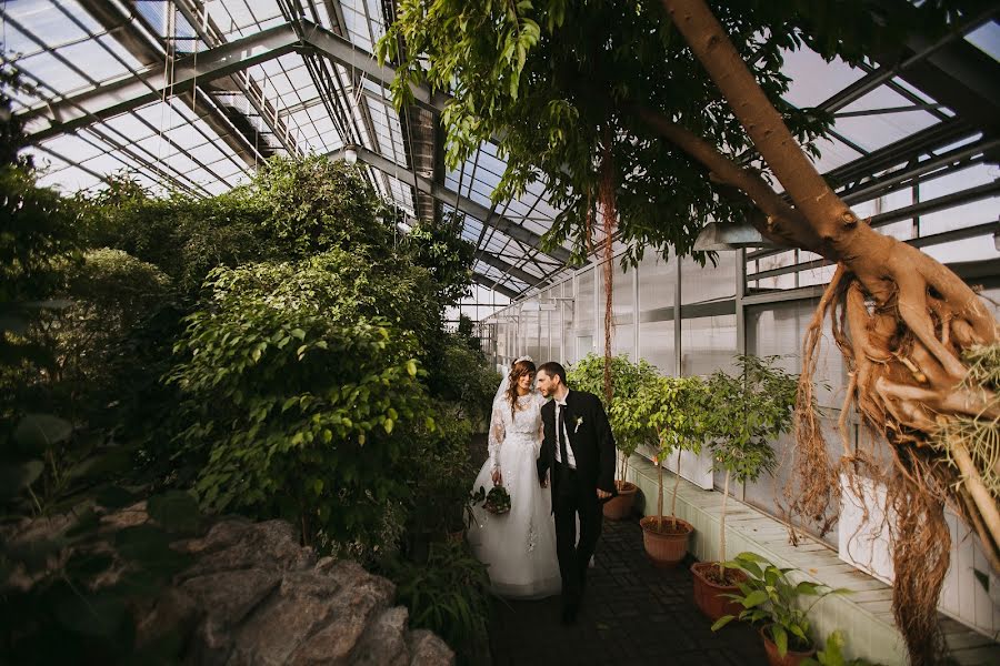 Fotógrafo de casamento Nolla Malova (nolla). Foto de 6 de abril 2017