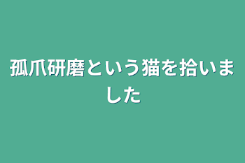 孤爪研磨という猫を拾いました