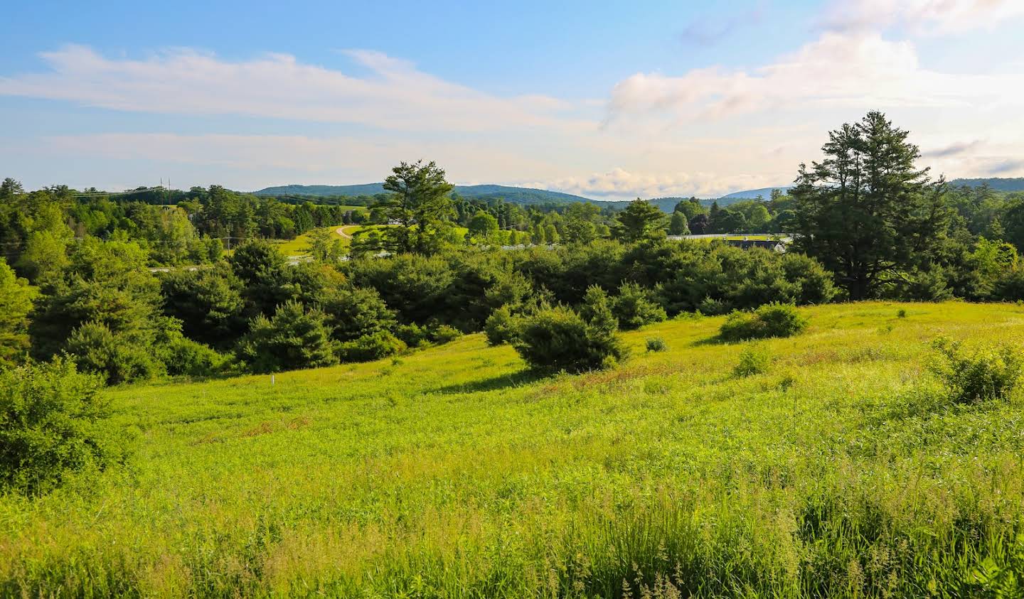 Land Salisbury