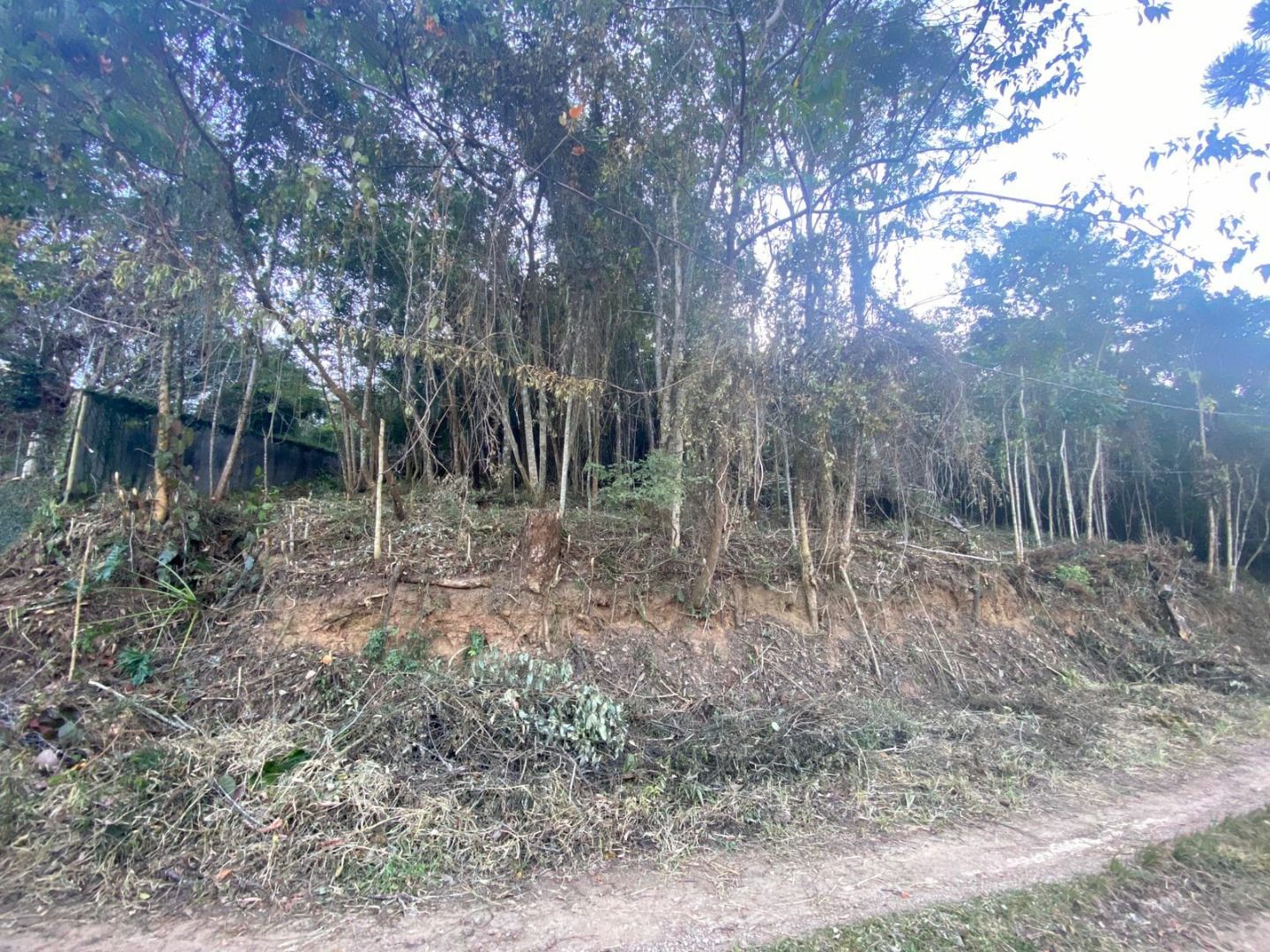 Terreno Residencial à venda em Fazenda Bela Vista, Nova Friburgo - RJ - Foto 8