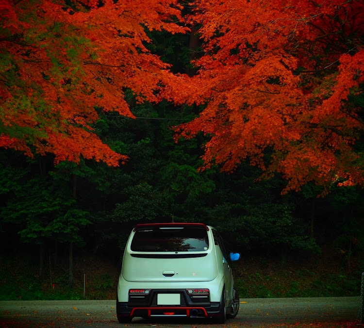 アルトワークスの紅葉と愛車・紅葉ドライブ・赤と緑のコントラストに関するカスタム事例の投稿画像3枚目