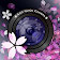 Sakura Camera　(桜 Camera) icon