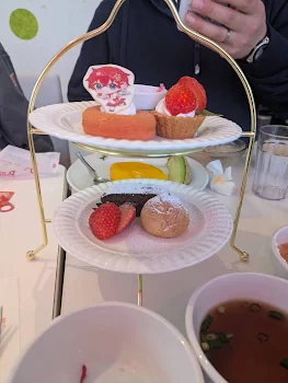 𓏸︎︎︎𓈒🎀 雑談部屋 🎀 𓈒𓏸︎︎︎︎