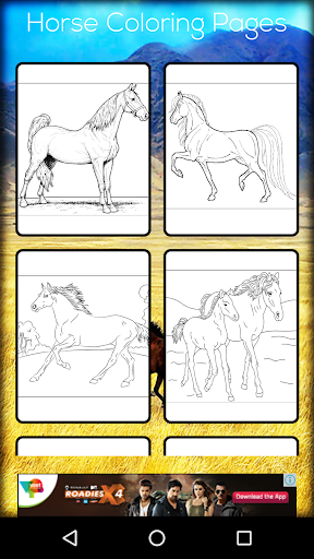 Horse Coloring Book