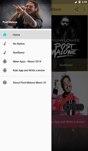 Post Malone Music Of Album