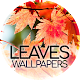 Leaves wallpapers Download on Windows