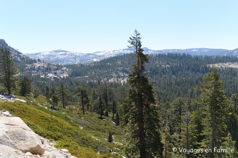 Tioga road