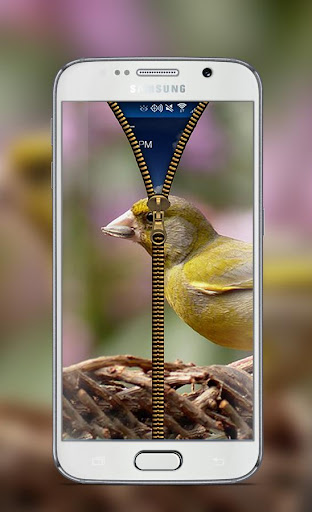 免費下載個人化APP|Cute Bird Zipper Lock Screen app開箱文|APP開箱王