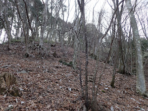 急登を右に向かうが・・・