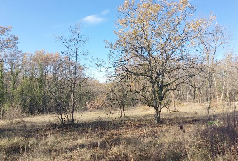  Vente Terrain à bâtir - 1 380m² à Chartrier-Ferrière (19600) 