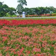 大溪花海農場