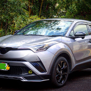 C-HR ZYX10