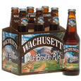 Wachusett Nut Brown Ale