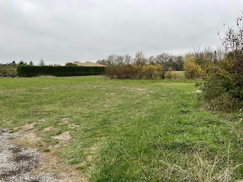 terrain à Castelnaudary (11)