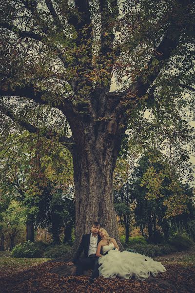 結婚式の写真家Ksenia Usacheva (cherryblossom)。2014 10月31日の写真