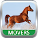 Movers icon